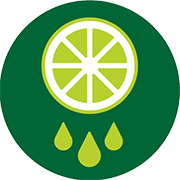 Leaves and greens icon