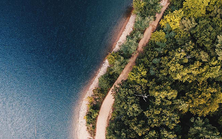 A banner with an aerial view of tree-tops and the ocean to introduce Philips&rsquo; sustainability plans