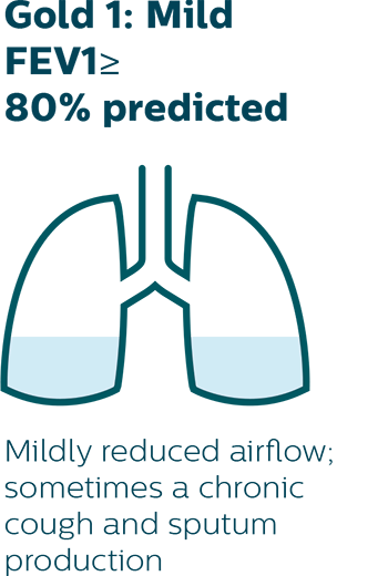 Mildly reduced airflow; sometimes a chronic cough and sputum production