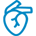 Cardiovascular icon