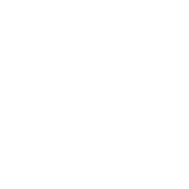 video icon