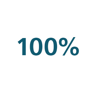 100% icon